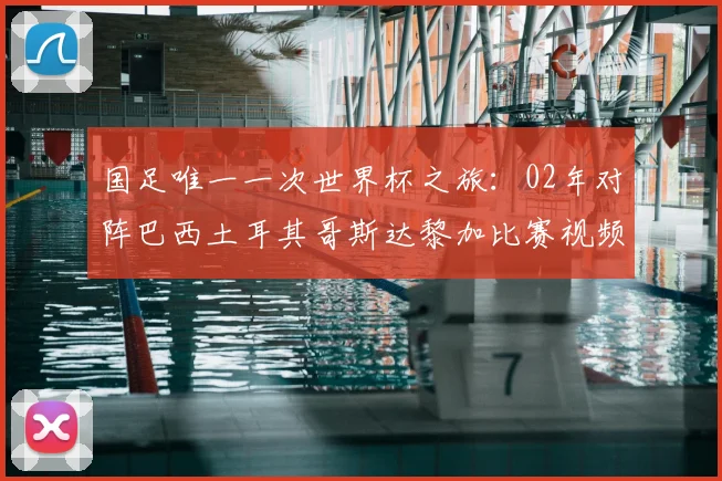 国足唯一一次世界杯之旅:02年对阵巴西土耳其哥斯达黎加比赛视频珍藏