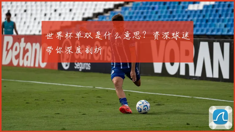世界杯单双是什么意思？资深球迷带你深度剖析