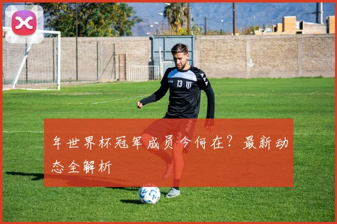 年世界杯冠军成员今何在？最新动态全解析