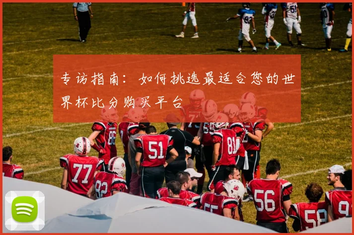 专访指南:如何挑选最适合您的世界杯比分购买平台