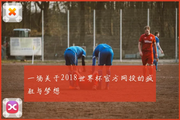 一场关于2018世界杯官方网投的疯狂与梦想