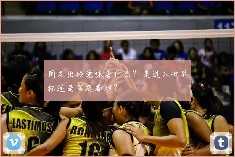 国足出线意味着什么?是进入世界杯还是另有赛程?