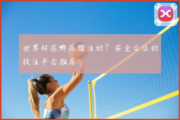 世界杯在哪压赌注的？安全合法的投注平台推荐