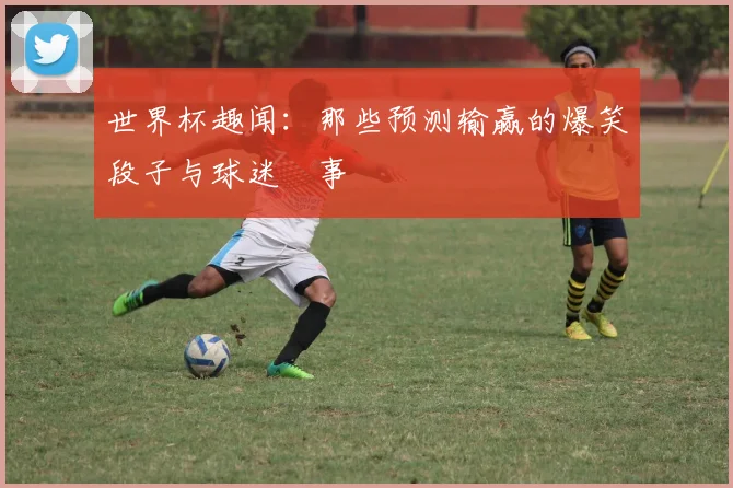 世界杯趣闻：那些预测输赢的爆笑段子与球迷囧事