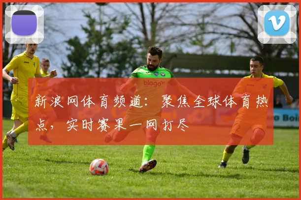 新浪网体育频道：聚焦全球体育热点，实时赛果一网打尽