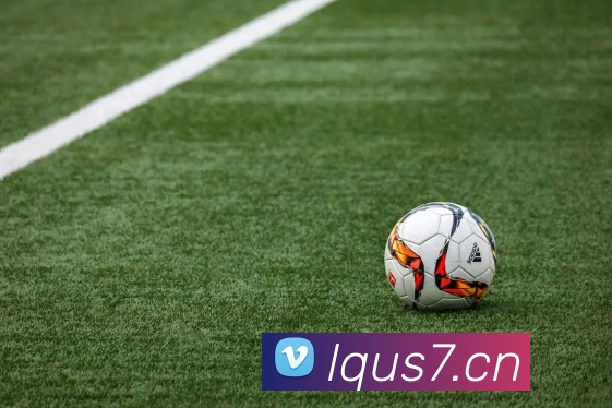 九游j9官网入口平台生态图