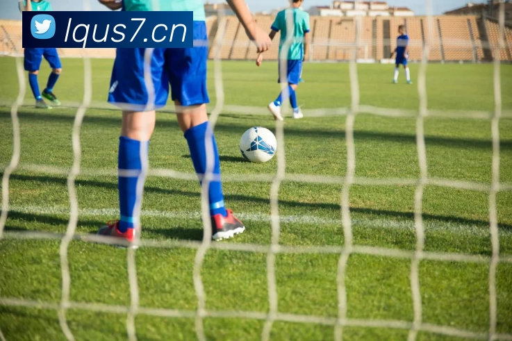 九游j9官网入口APP 封面图